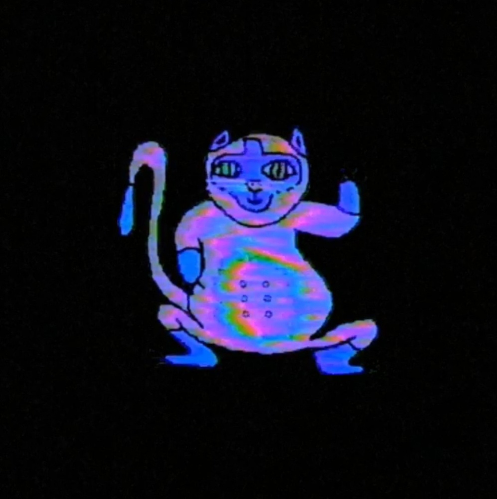 Meet your Posher, Alani